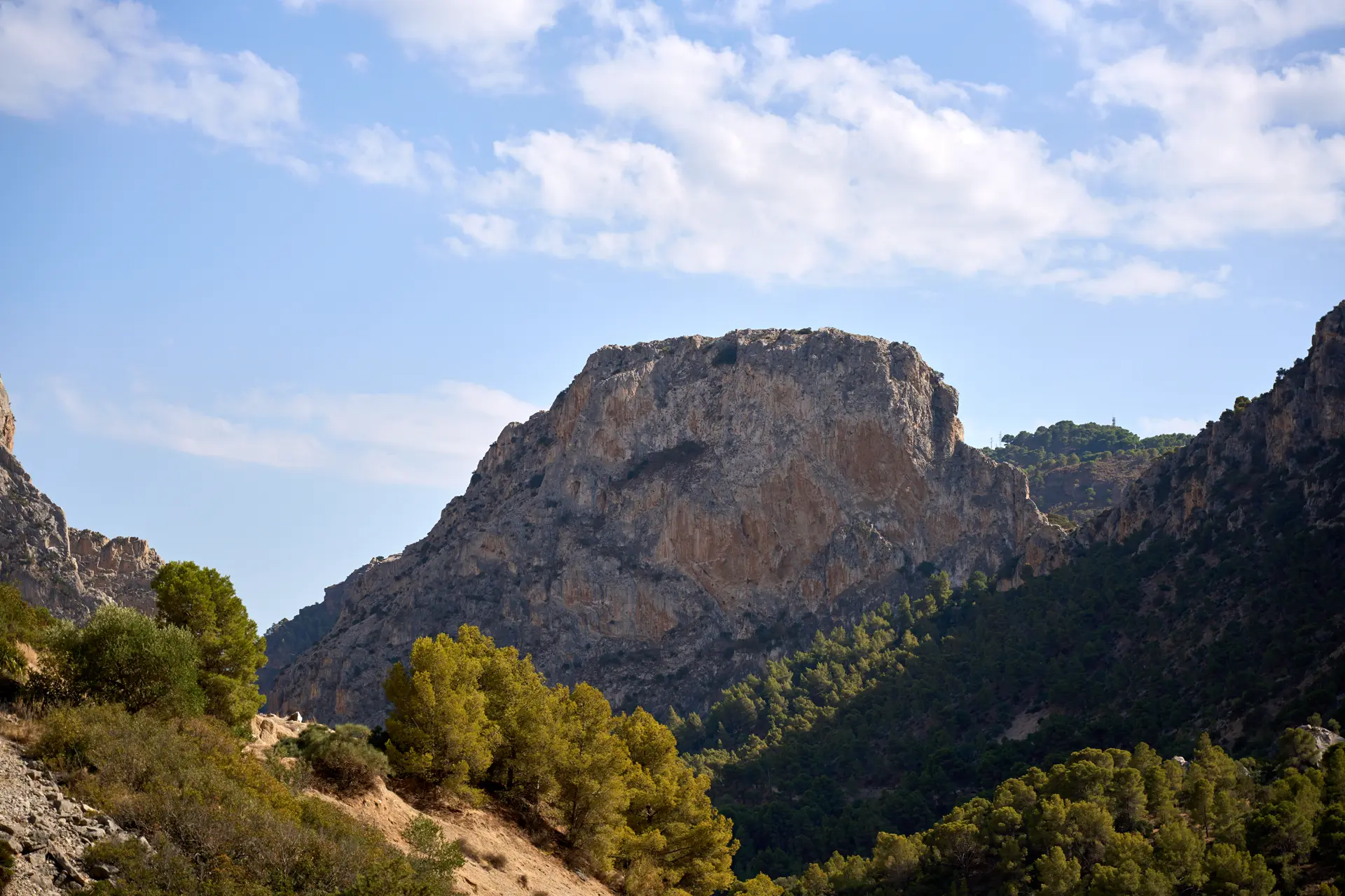 Photography & Videography